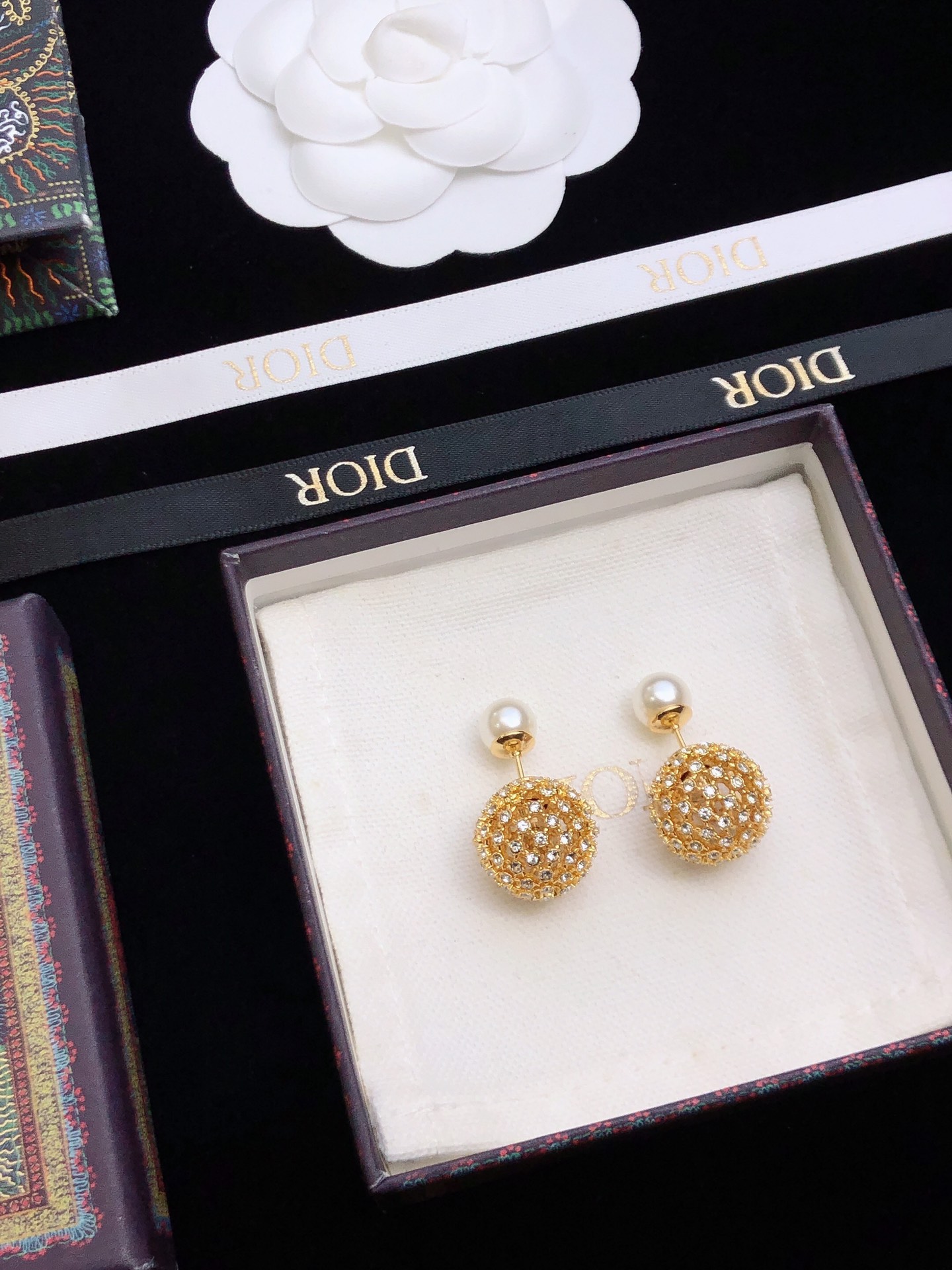 Bagsaaa D10r Earrings 19