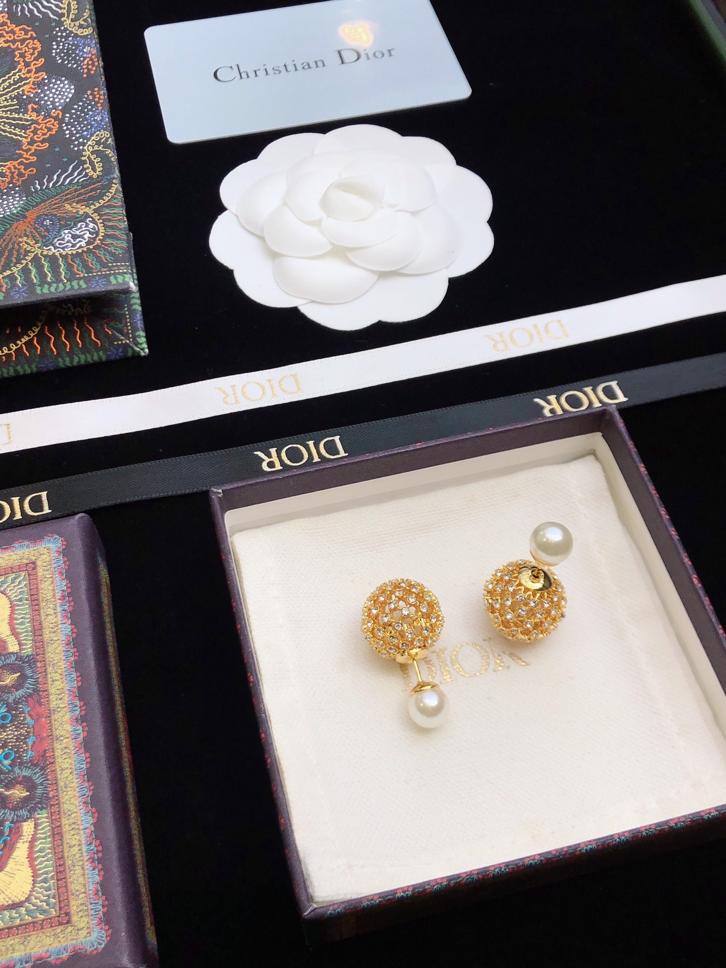 Bagsaaa D10r Earrings 19