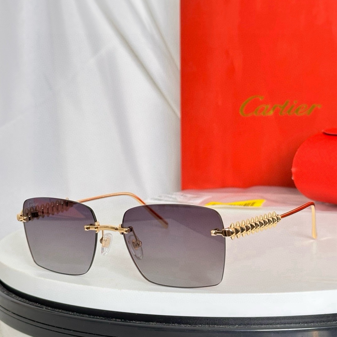Bagsaaa Ca*t1er Glasses 03