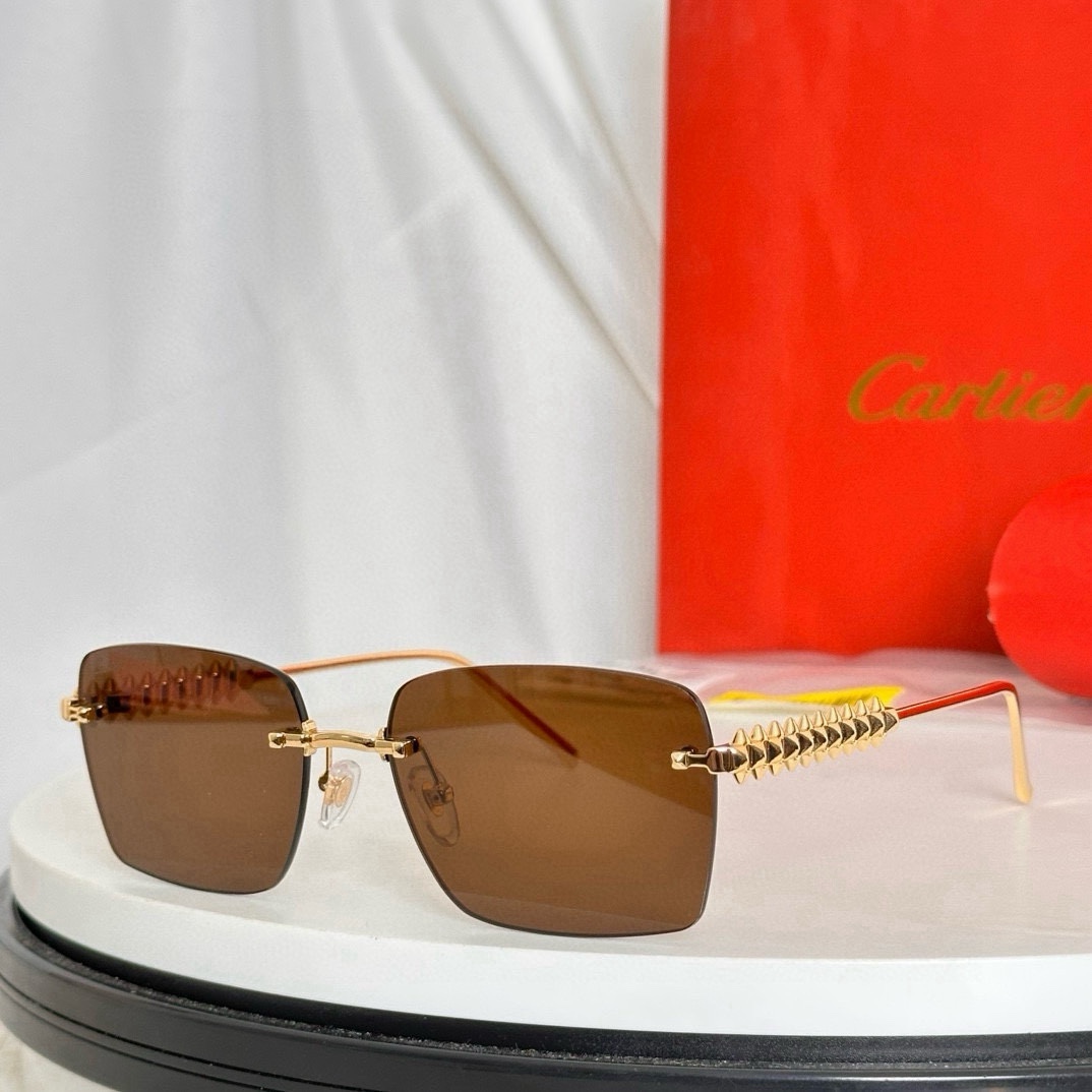Bagsaaa Ca*t1er Glasses 05