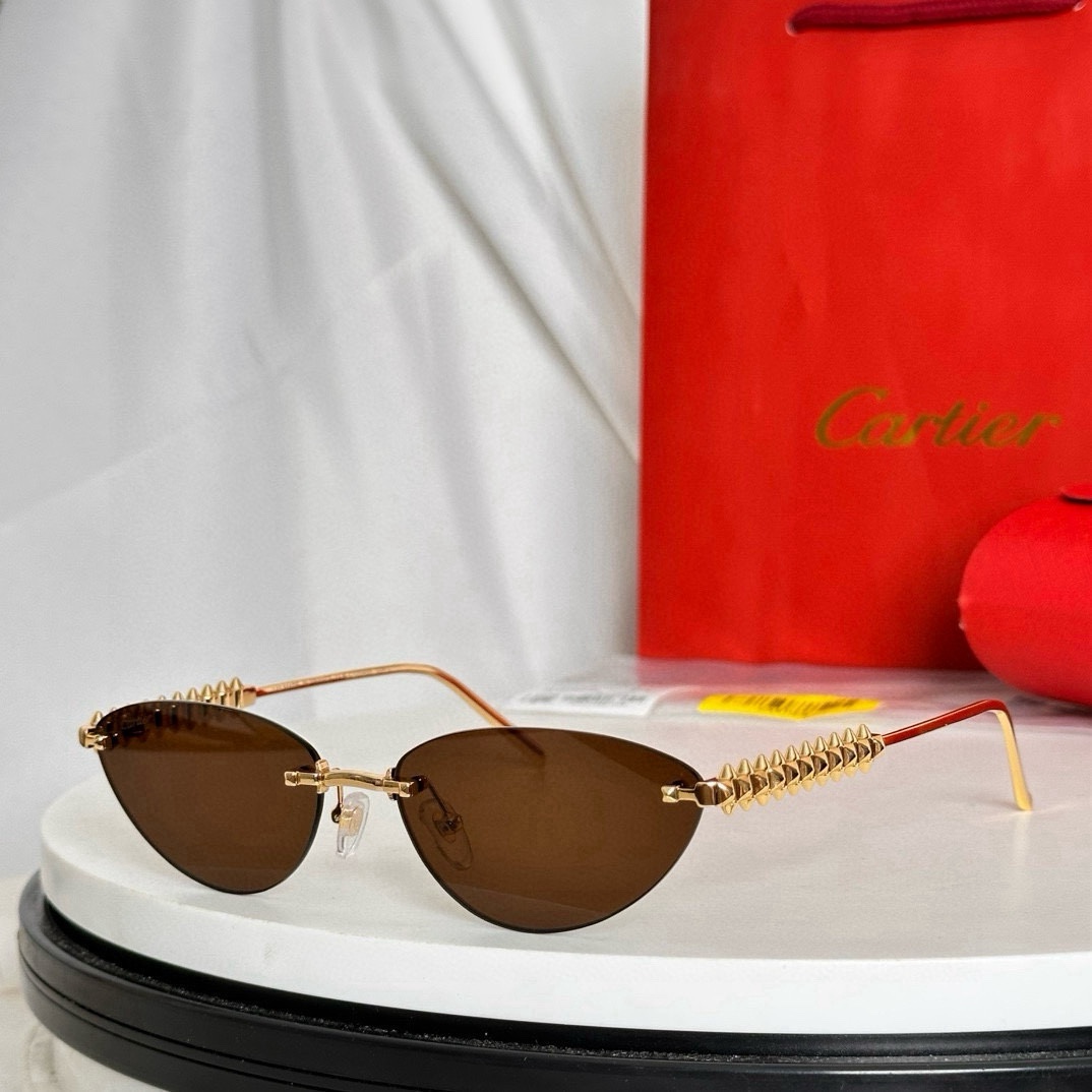 Bagsaaa Ca*t1er Glasses 07