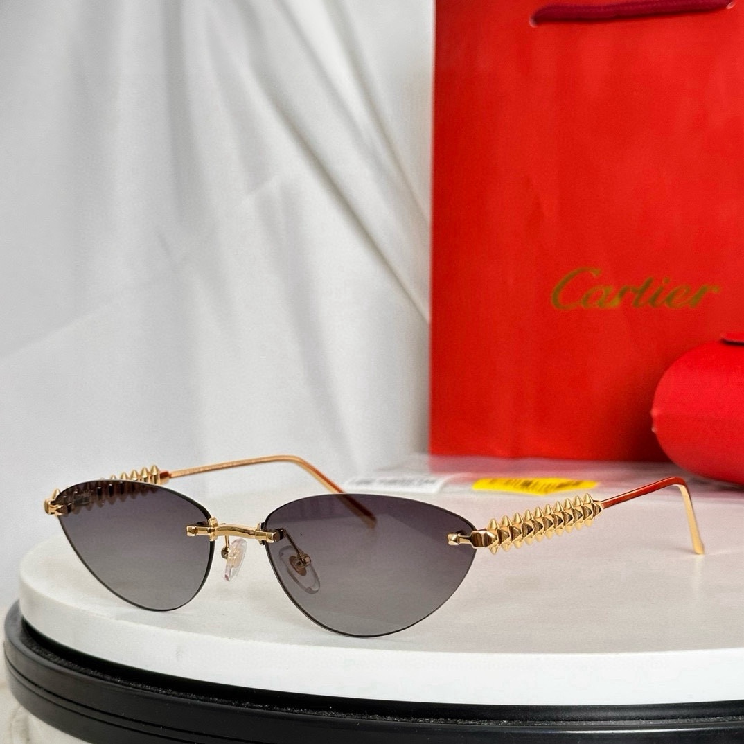 Bagsaaa Ca*t1er Glasses 09