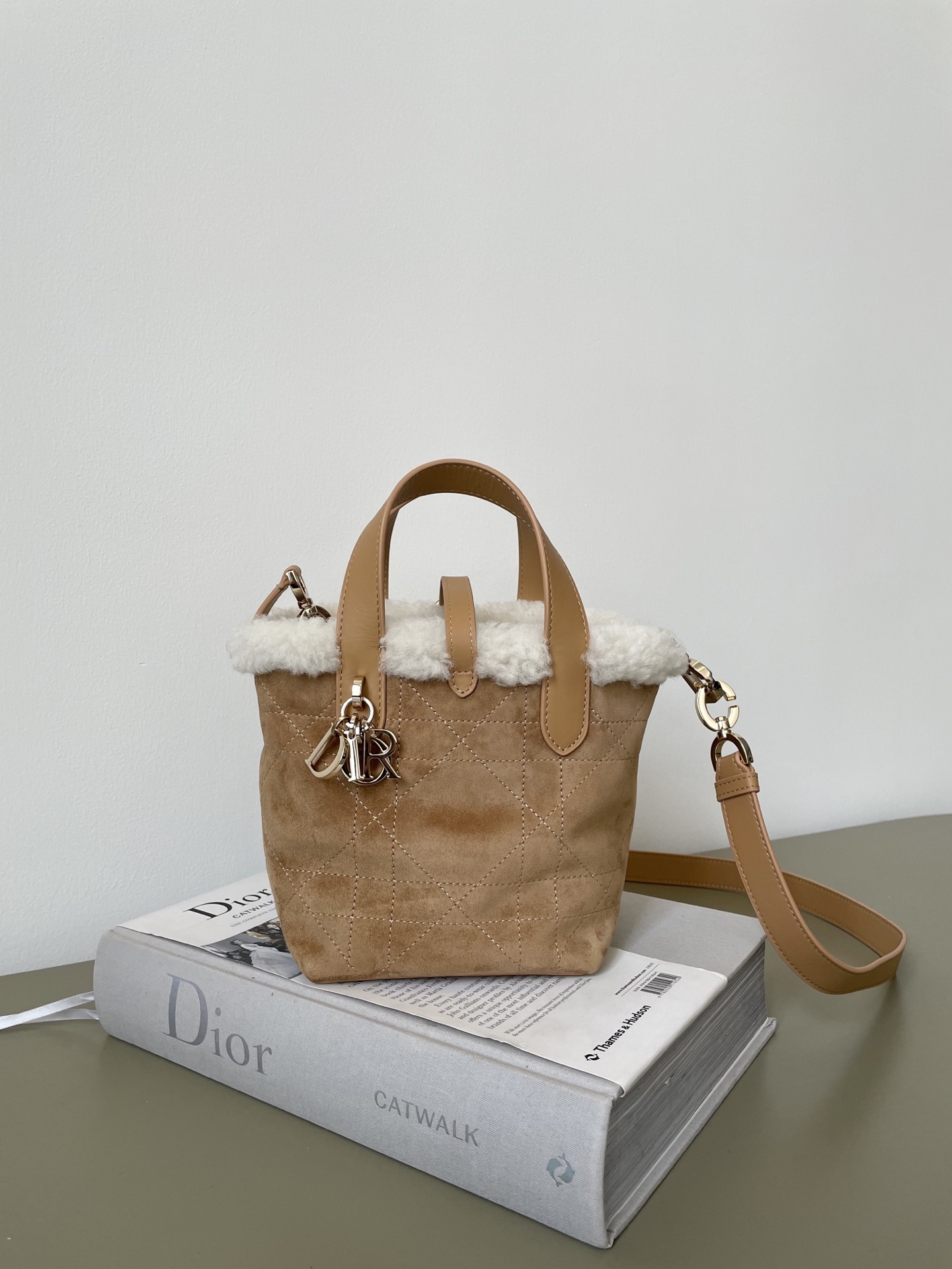 Bagsaaa D10rAlps D10r Toujours Vertical Nano Tote Bag Beige Suede - 15cm
