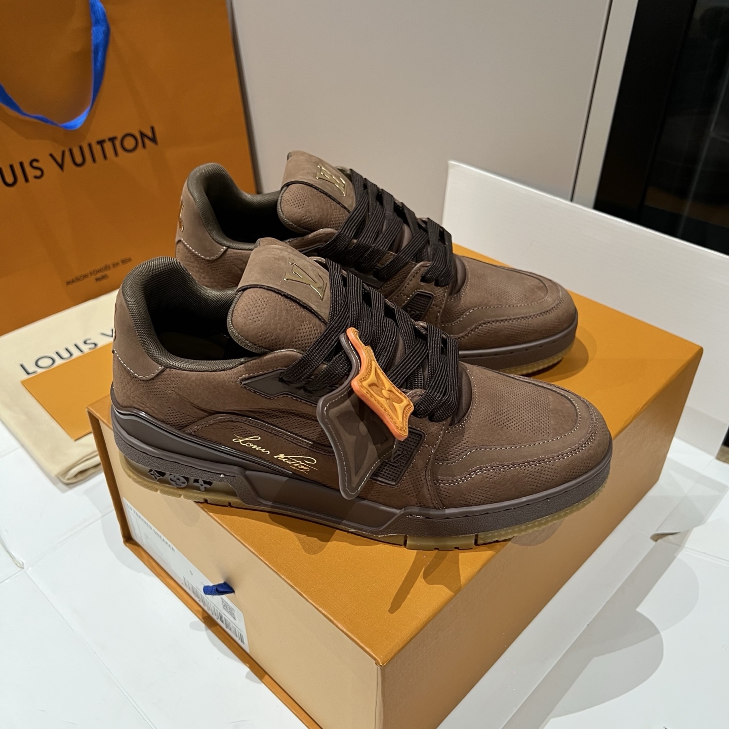 Bagsaaa L0vis Vvtt0n LV Trainer sneakers in moka brown