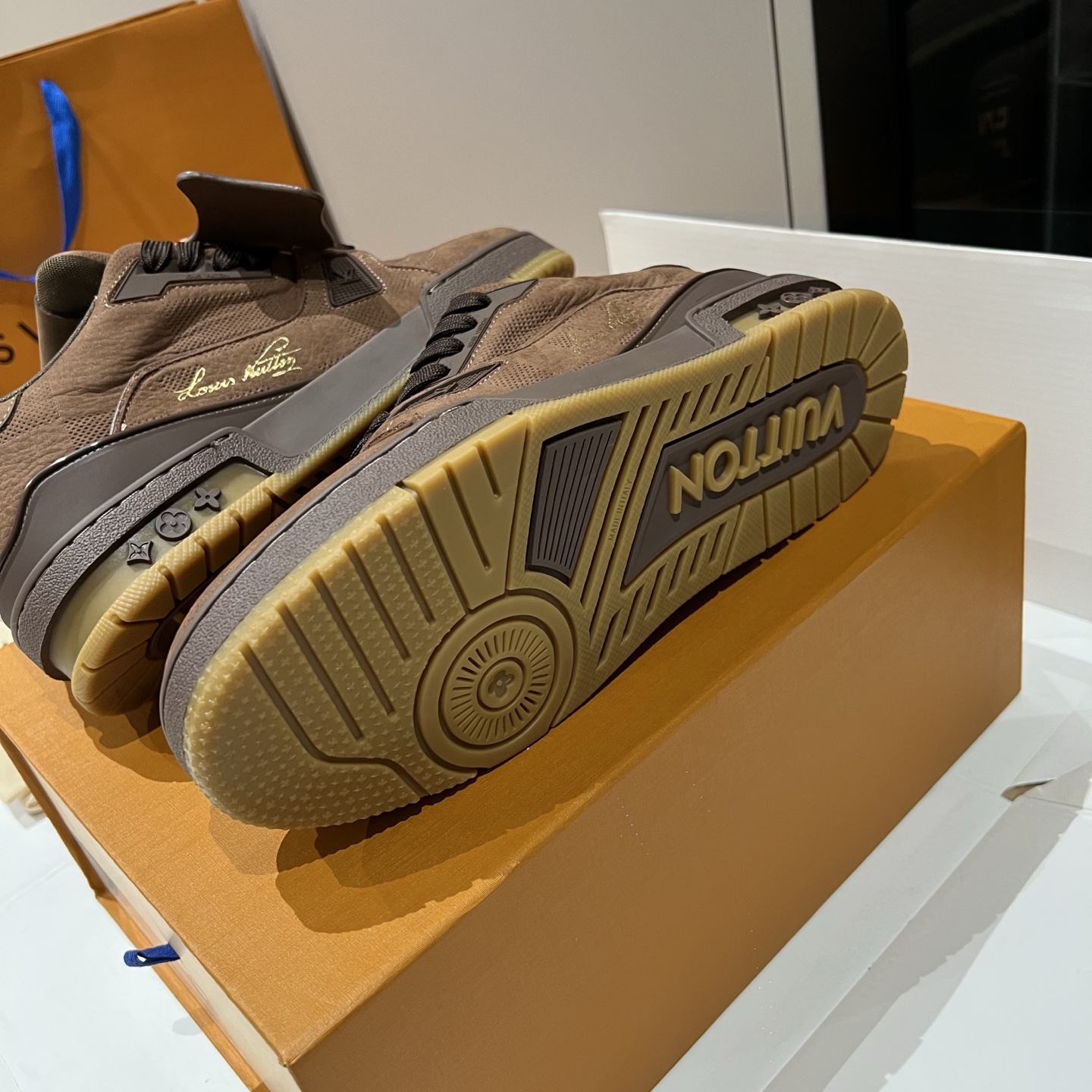 Bagsaaa L0vis Vvtt0n LV Trainer sneakers in moka brown