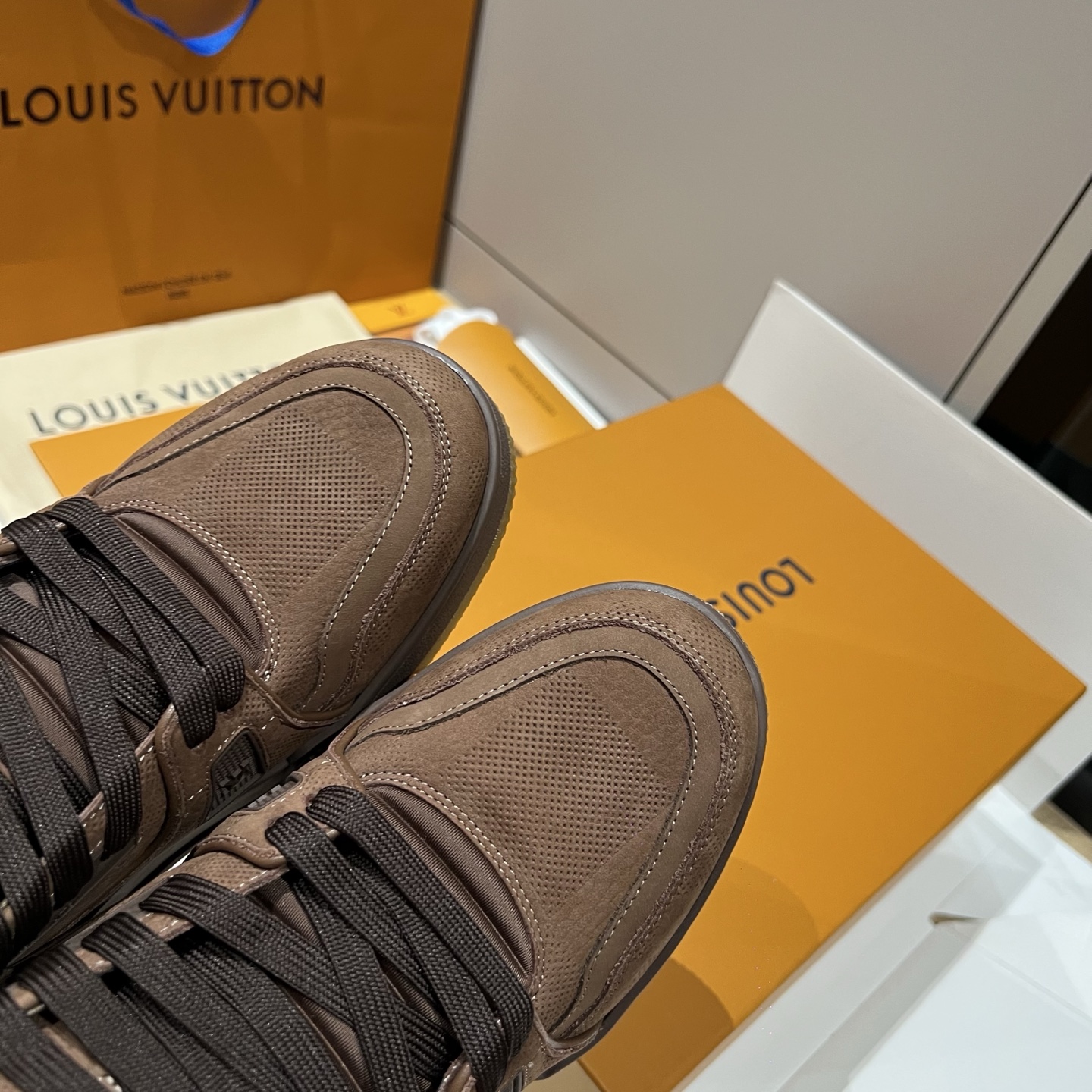 Bagsaaa L0vis Vvtt0n LV Trainer sneakers in moka brown