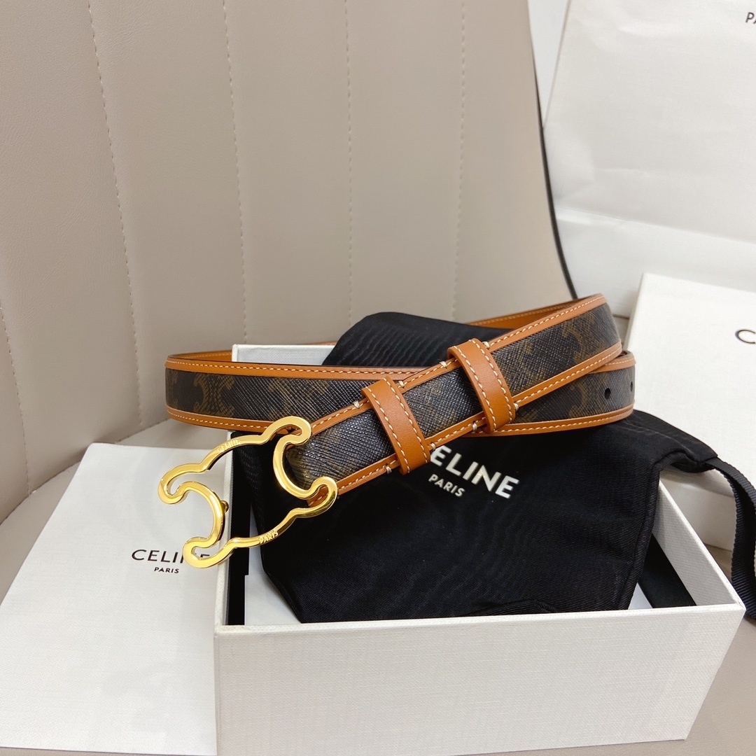 Bagsaaa Ce1i*e Medium Triomphe belt in Triomphe canvas and calfskin with gold-toned buckle
