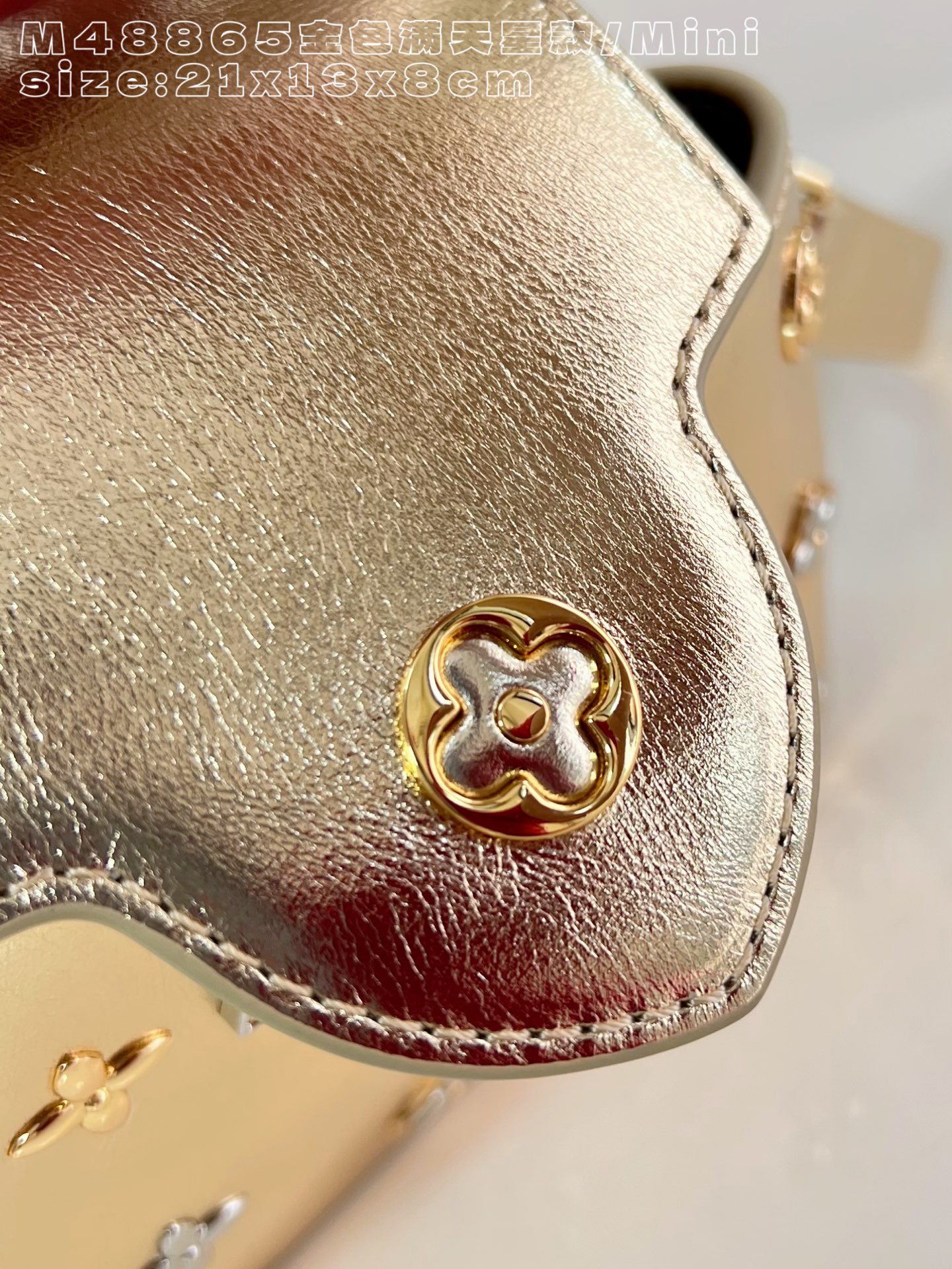 Bagsaaa L0vis Vvtt0n Capucines Mini handbag in metallic gold - 21cm