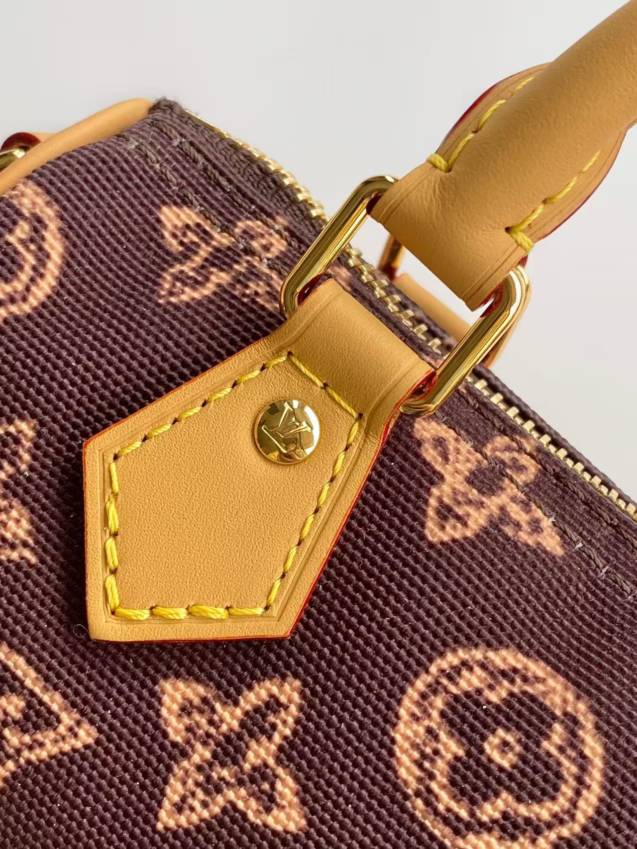 Bagsaaa LV Nano Speedy Other Monogram Canvas dark brown - 16cm