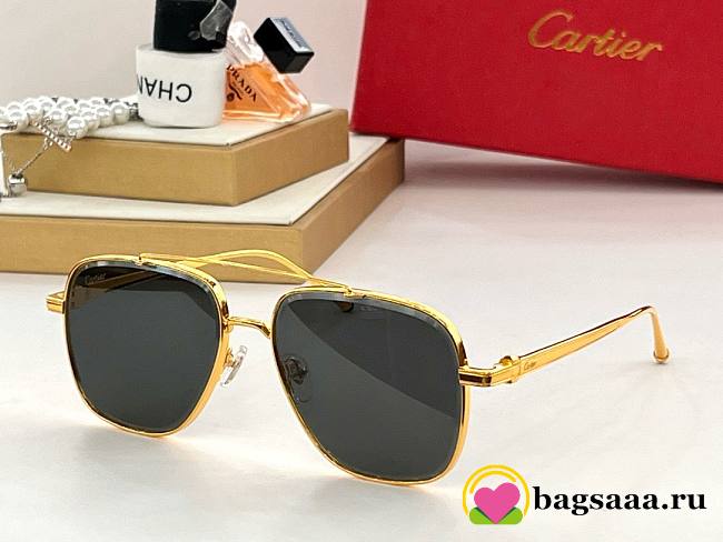 Bagsaaa Ca*t1er Sunglasses gold frame