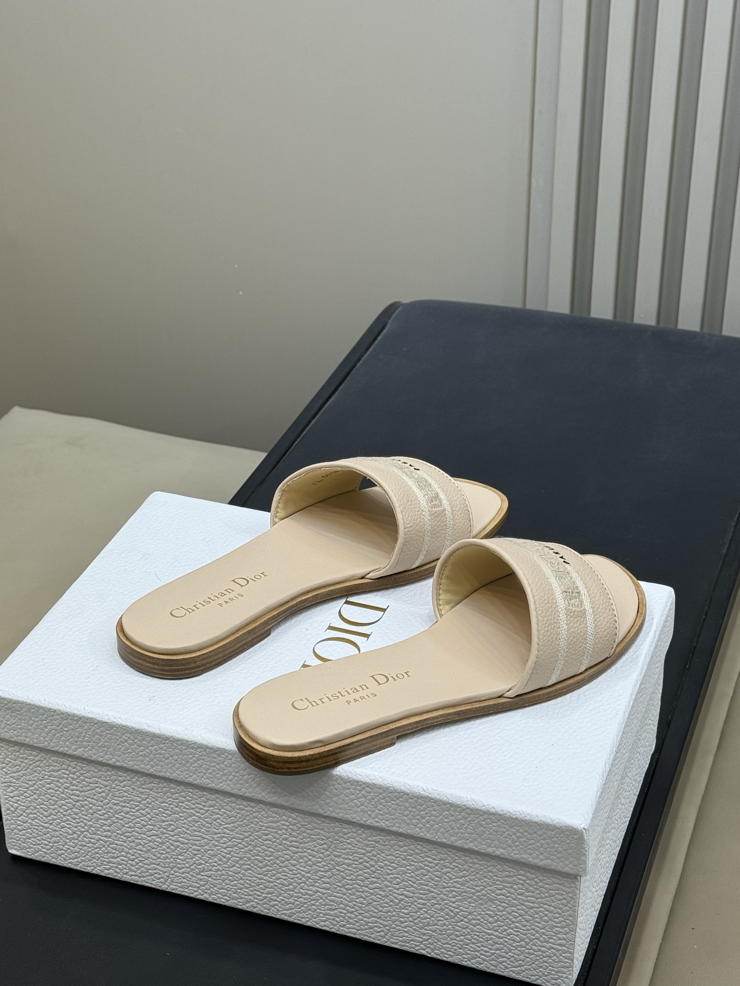 Bagsaaa D10r Dway Slide Powder Beige Grained Calfskin