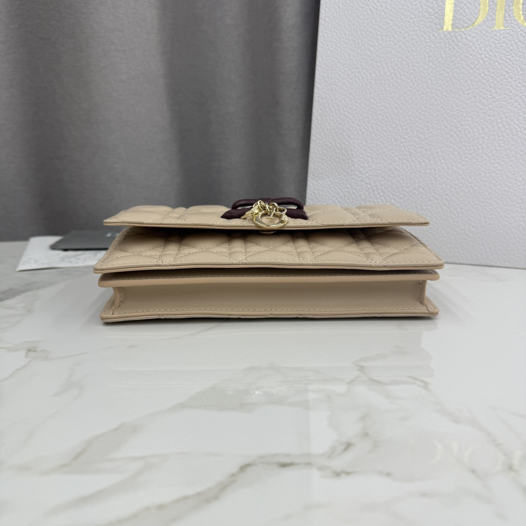 Bagsaaa D10r Or My D10r Mini Bag Two-Tone Trench and Hermitage Red Cannage Lambskin - 21cm